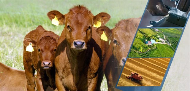 Çiftçilere 3,3 Milyar Liralık Destek Ödemesi Başladı