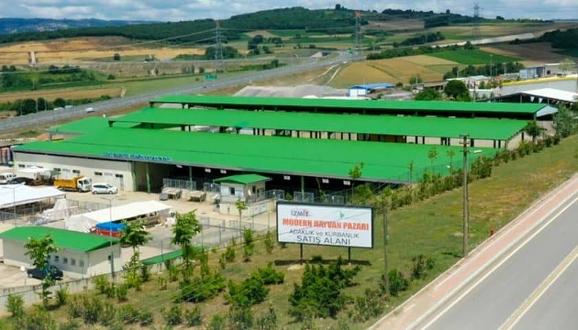 İzmit Belediyesi Modern Hayvan Pazarına Kurban satışı için ön kayıtlar başladı