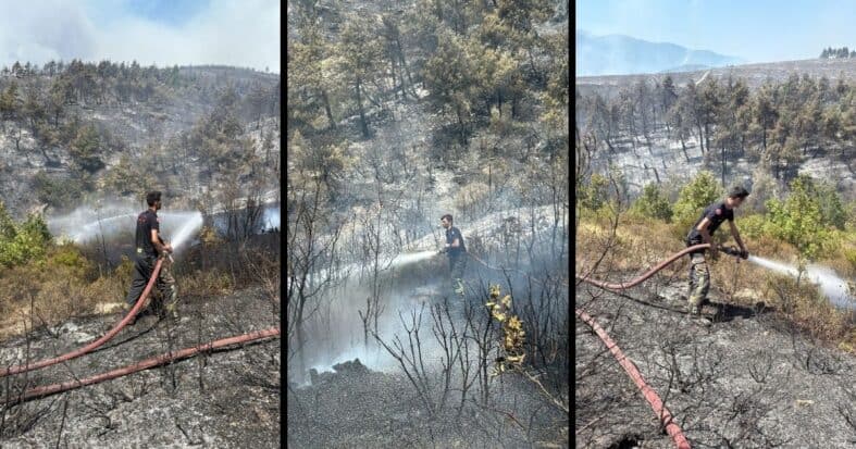 Orman yangınına karşı mücadelede Kocaeli ekipleri sahada