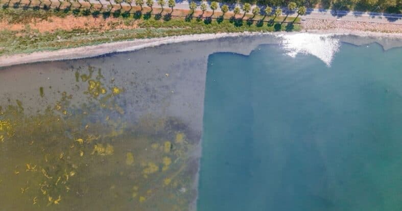 Körfez'de mavi dönüşüm