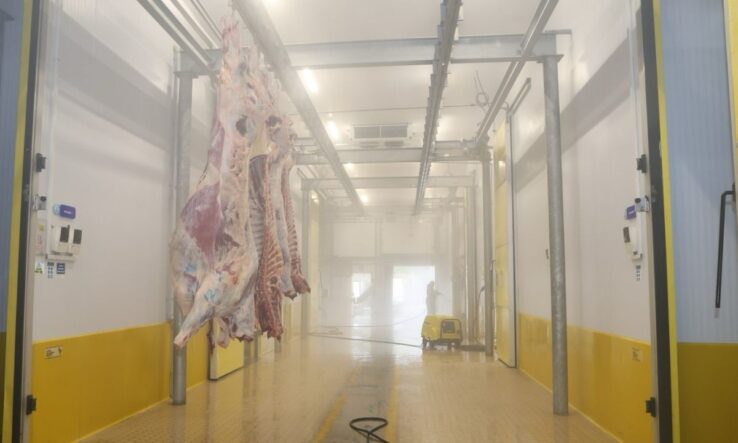 kocaelide-yuksek-kapasiteli-ve-hijyenik-mezbaha-hizmeti-4703