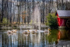 Kocaeli Büyükşehir Belediyesi'nden Bayramda Sağlıklı Beslenme ve Porsiyon Tavsiyeleri