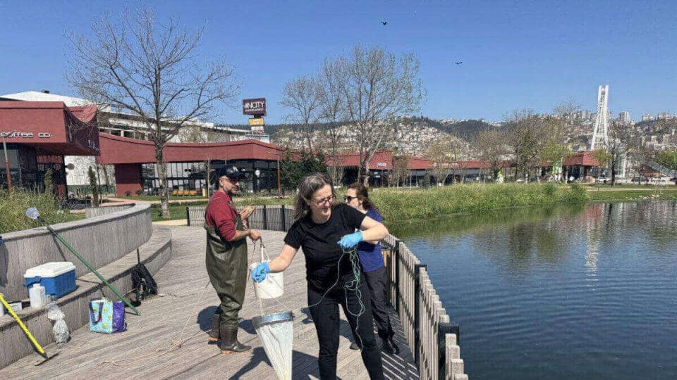 Kocaeli'de Elektrik Panoları ve Üstyapı Alanları A Takımı ile Yenileniyor