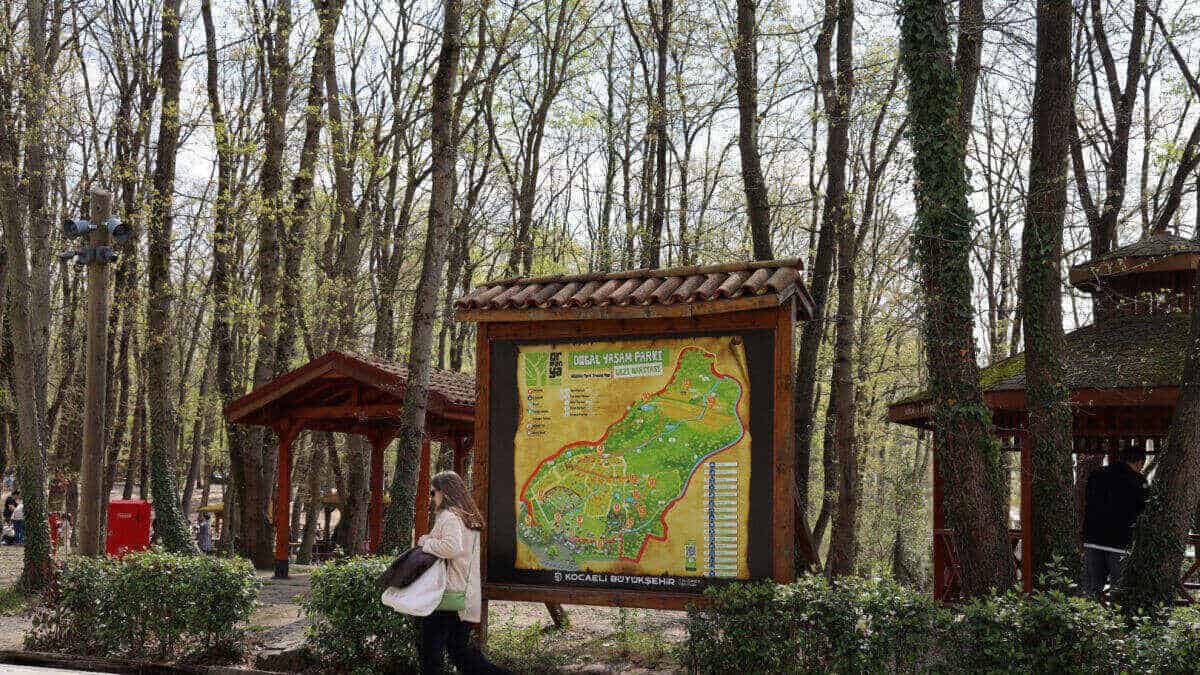 Ormanya'da Bahar Ziyaretçi Akını: Doğayla İç İçe Etkinlikler İlgi Görüyor