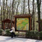 Ormanya'da Bahar Ziyaretçi Akını: Doğayla İç İçe Etkinlikler İlgi Görüyor