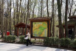 Ormanya'da Bahar Ziyaretçi Akını: Doğayla İç İçe Etkinlikler İlgi Görüyor