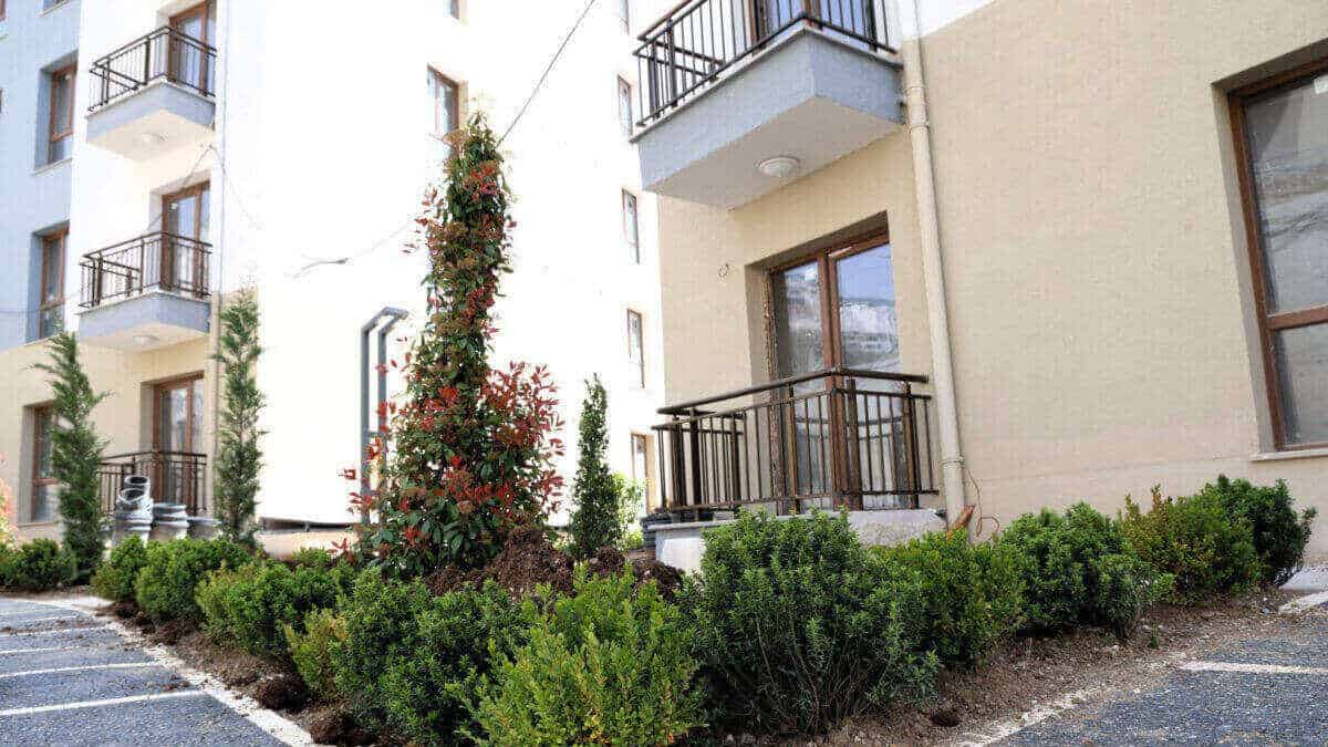 Cedit Kentsel Dönüşüm Projesi’nde Çevre Düzenlemesi ve Peyzajda Yeni Aşama