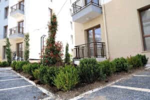 Cedit Kentsel Dönüşüm Projesi’nde Çevre Düzenlemesi ve Peyzajda Yeni Aşama