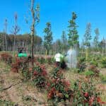 Kocaeli Büyükşehir, Fidanlarda Zararlılara Karşı İlaçlama Çalışmalarını Sürdürüyor