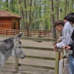 İskeçeli Gençler Kocaeli’de Doğa Gezisiyle Dostluk Maçı Öncesi Hazırlandı