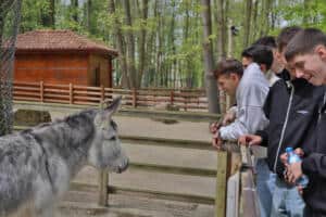 İskeçeli Gençler Kocaeli’de Doğa Gezisiyle Dostluk Maçı Öncesi Hazırlandı