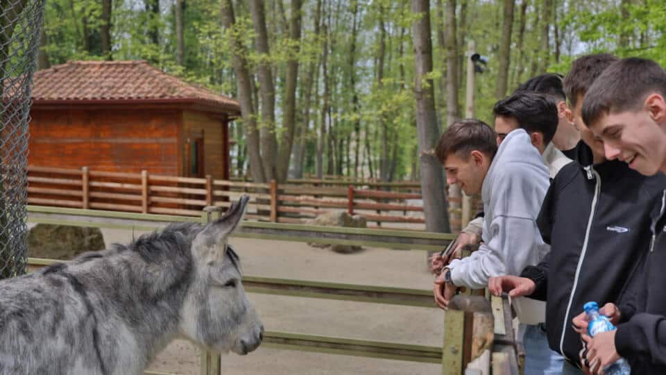 İskeçeli Gençler Kocaeli’de Doğa Gezisiyle Dostluk Maçı Öncesi Hazırlandı