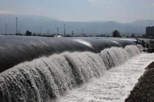 İzmit Körfezi’nde Dip Çamuru Temizliği Sonrası Deniz Canlıları Yeniden Görülmeye Başlandı