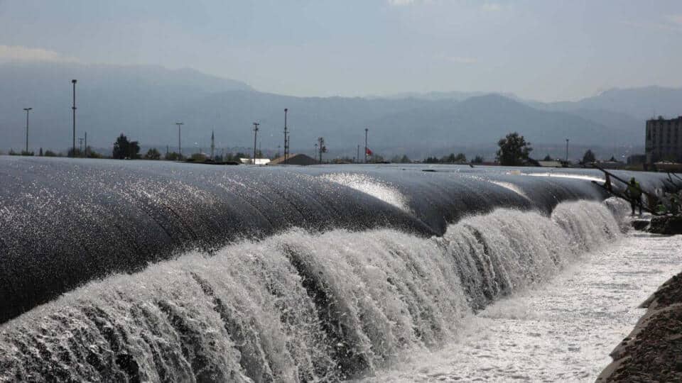 İzmit Körfezi’nde Dip Çamuru Temizliği Sonrası Deniz Canlıları Yeniden Görülmeye Başlandı